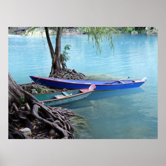 ピロゲスのポスター ポスター (正面)