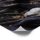 ピロゲスのポスター ポスター (角)