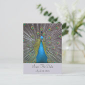 ピロック日付を保存 案内ポストカード (スタンド正面)