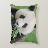 ピローフォトジャイアントパンダ。 アクセントクッション (正面(垂直))