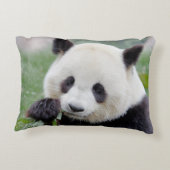 ピローフォトジャイアントパンダ。 アクセントクッション (裏面)