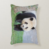 ピローフォトジャイアントパンダ。 アクセントクッション (正面(垂直))