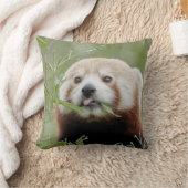 ピロー写真の赤パンダ。 クッション (ブランケット)