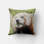 ピロー写真の赤パンダ。 クッション (裏面)