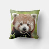 ピロー写真の赤パンダ。 クッション (裏面)