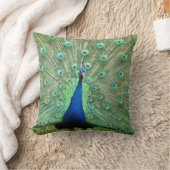 ピロー – ディスプレイ上の孔雀 (ブランケット)