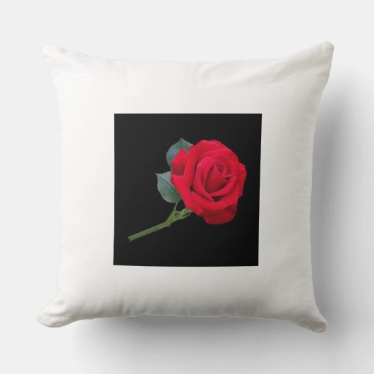 ピロー&ポーフ クッション (正面)