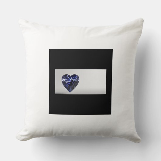 ピロー&ポーフ クッション (正面)