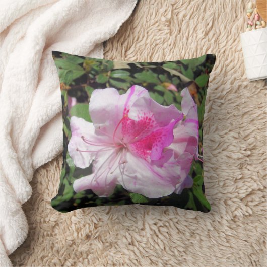 ピロー – George Taber Azalea (ブランケット)