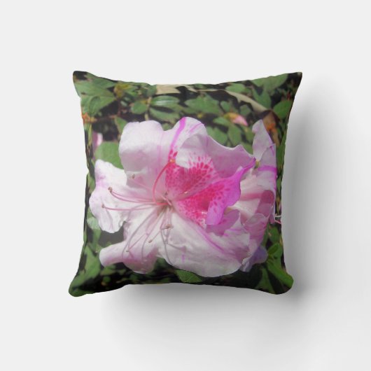 ピロー – George Taber Azalea (裏面)