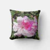 ピロー – George Taber Azalea (正面)