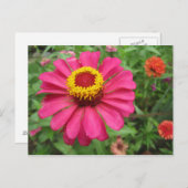 ピンかわいらしクと黄色で ポストカード (正面/裏面)