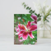 ピンかわいらしク色 ポストカード (スタンド正面)