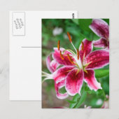 ピンかわいらしク色 ポストカード (正面/裏面)