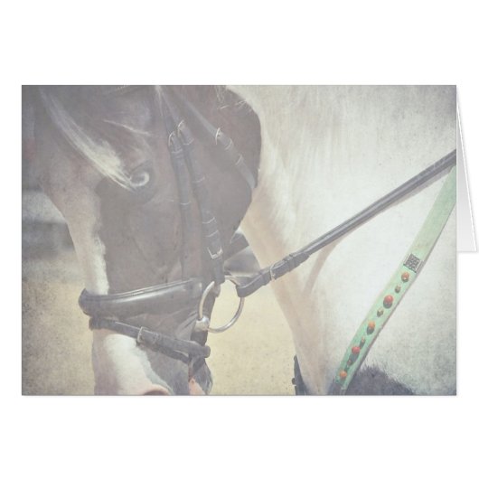 ピンと留まる (正面横)