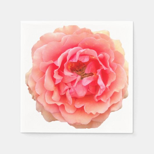 ピンキーホワイト紙ナプキンス スタンダードカクテルナプキン (正面)