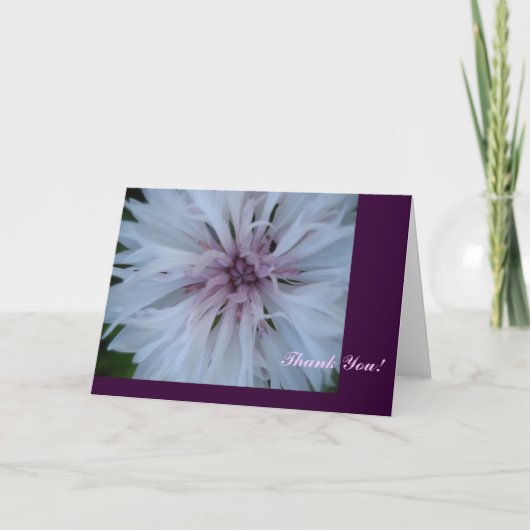 ピンクありがとう サンキューカード (正面)