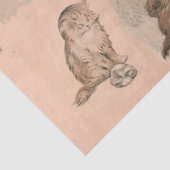 ピンクおもしろい色の猫の物語 薄葉紙 (詳細)