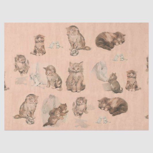 ピンクおもしろい色の猫の物語 薄葉紙 (正面)