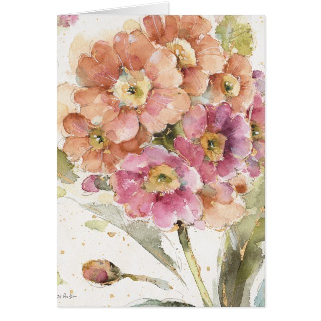 ピンクおよびオレンジサクラソウ (正面)