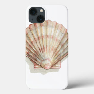 ピンクおよびクリーム色の貝殻 iPhone 13ケース