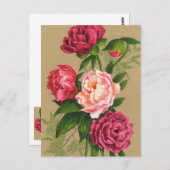 ピンクおよび赤いバラの絵を描くこと ポストカード (正面/裏面)