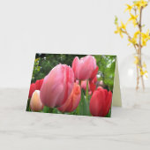 ピンクおよび赤い春のチューリップによっては誕生日が開花します カード (黄色い花)