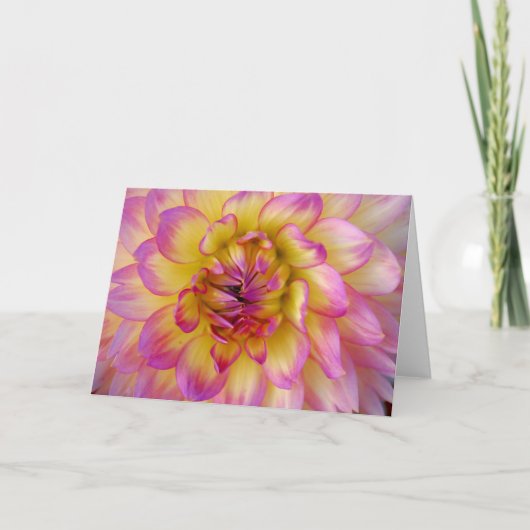 ピンクおよび黄色いダリア カード (正面)