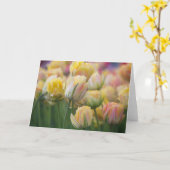 ピンクおよび黄色いチューリップ カード (黄色い花)