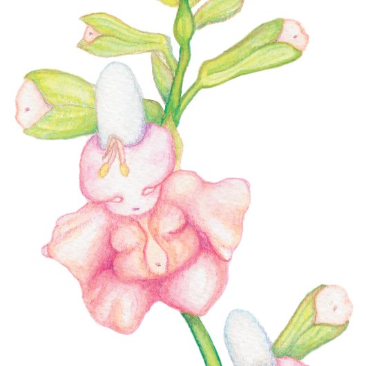 ピンクお洒落のファンタジー花が水彩を染める ポスター