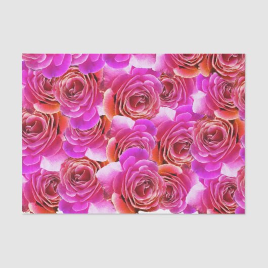 ピンクから赤のグラデーションバラ 薄葉紙 (正面)