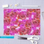 ピンクから赤のグラデーションバラ 薄葉紙 (クラフト)