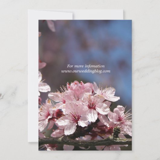 ピンクかわいらしさくらんぼ結婚式招待状 招待状 (裏面)