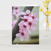 ピンクかわいらしさくらんぼ花 カード (黄色い花)