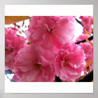 ピンクかわいらしで ポスター