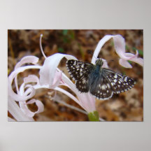 ピンクかわいらしで