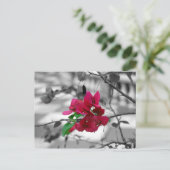 ピンクかわいらしで ポストカード (スタンド正面)