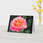 ピンクかわいらしとオレンジのバラのマクロフォト カード (黄色い花)