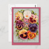 ピンクかわいらしとパープルパンジーヴィンテージアート ポストカード (正面/裏面)