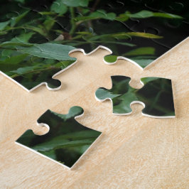 ピンクかわいらしと白のバラの花茂み。フローラ ジグソーパズル