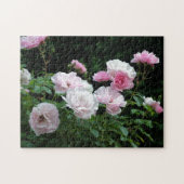 ピンクかわいらしと白のバラの花茂み。フローラ ジグソーパズル (横)