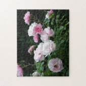 ピンクかわいらしと白のバラの花茂み。フローラ ジグソーパズル (縦)