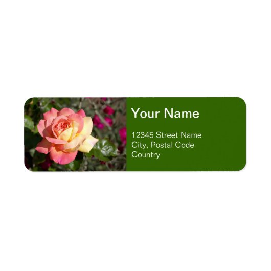 ピンクかわいらしと黄色のバラの花カスタム。 ラベル (正面)