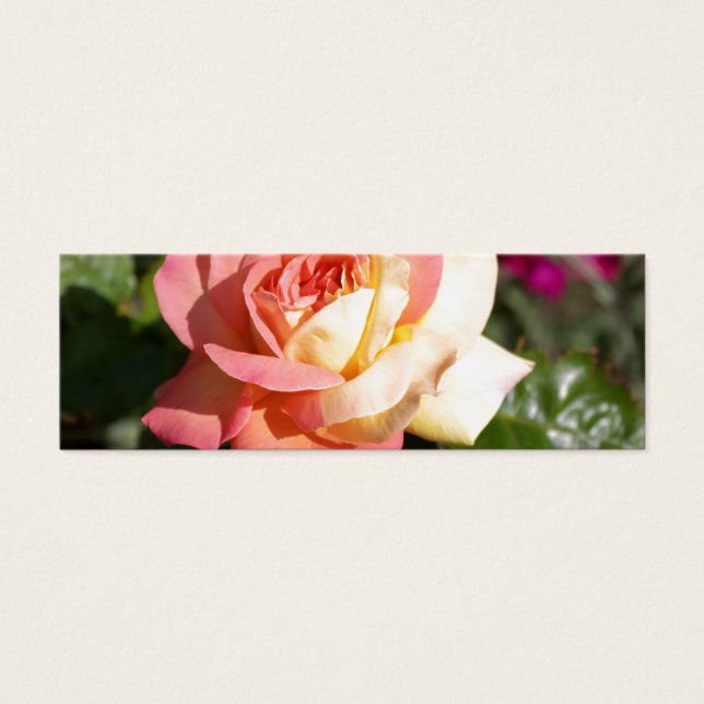 ピンクかわいらしと黄色のバラの花。フローラ (正面)