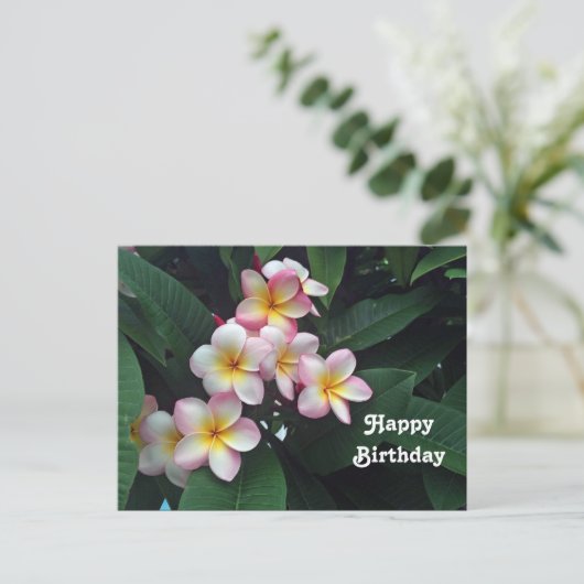 ピンクかわいらしと黄色のプルメリアフローラ誕生日 ポストカード (スタンド正面)