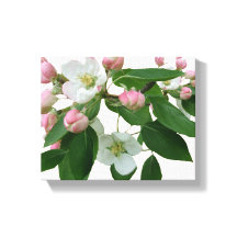 ピンクかわいらしのさくらんぼの花のフローラ美モダンしい