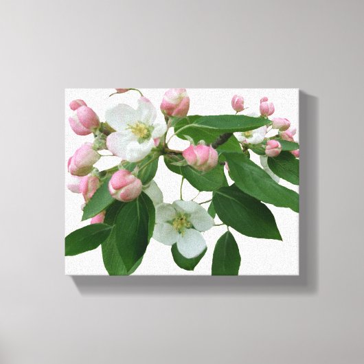 ピンクかわいらしのさくらんぼの花のフローラ美モダンしい キャンバスプリント (正面)