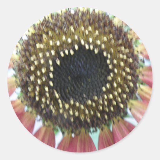 ピンクかわいらしのひまわりシール ラウンドシール (正面)