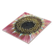 ピンクかわいらしのひまわりタイル タイル (側面)