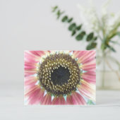ピンクかわいらしのひまわり葉書 ポストカード (スタンド正面)